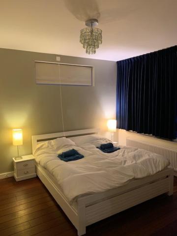 Villa Cosy Central Incl Jacuzzi Near Trainstation, Beach And City هيمستيده المظهر الخارجي الصورة